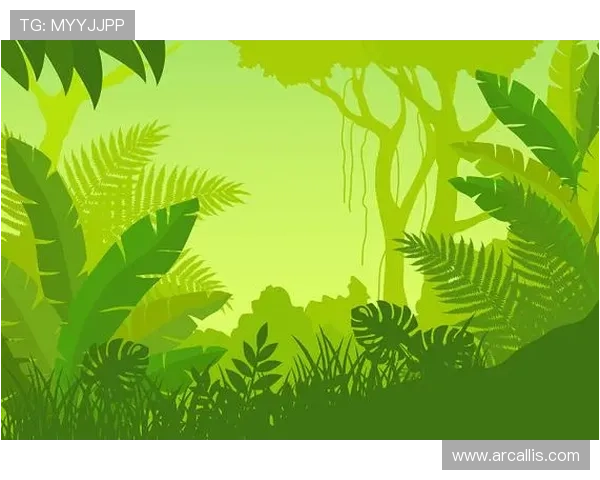 星空体育直播：打造绿色高清体育直播平台享受极致视听盛宴