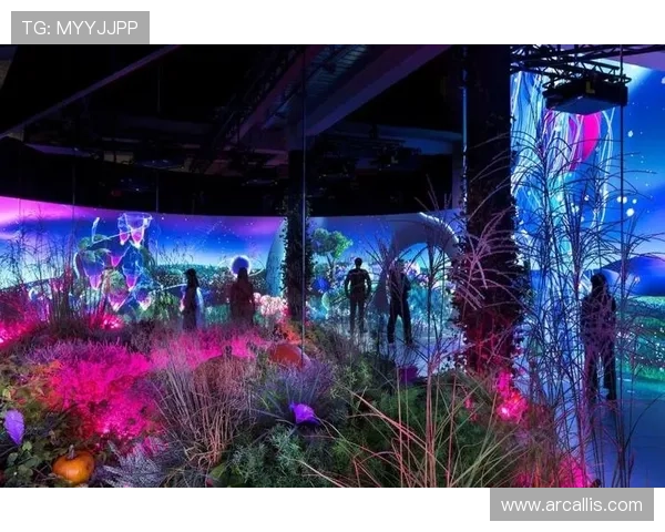 星空体育网娱乐：打造全方位的体育娱乐生态系统满足不同用户的观看需求