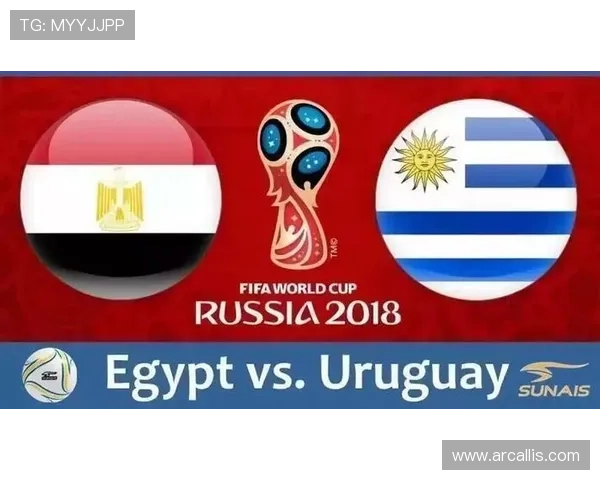 2026年世界杯比利时对阵埃及比赛体彩投注规则详细解读与玩法指南
